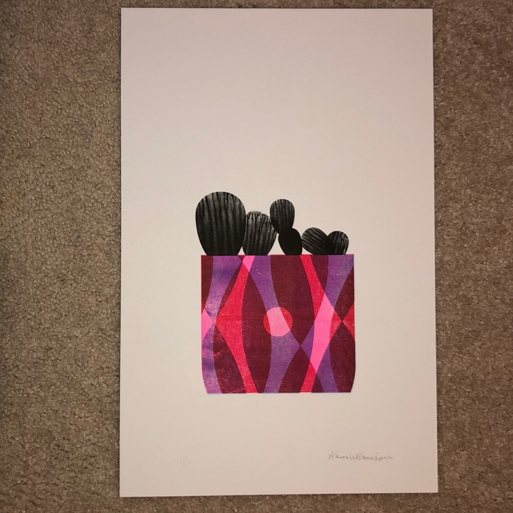 cactus picture